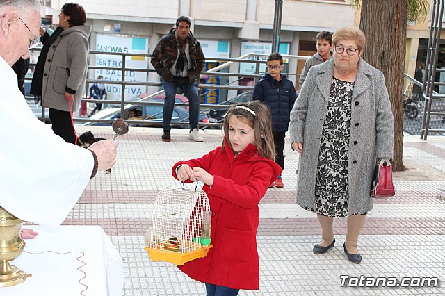 Bendicin de animales San Antn Totana 2020 - 33