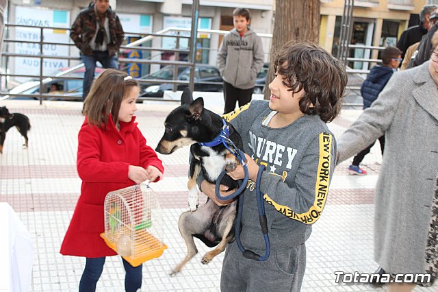 Bendicin de animales San Antn Totana 2020 - 34