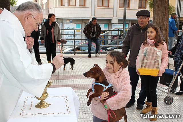 Bendicin de animales San Antn Totana 2020 - 37