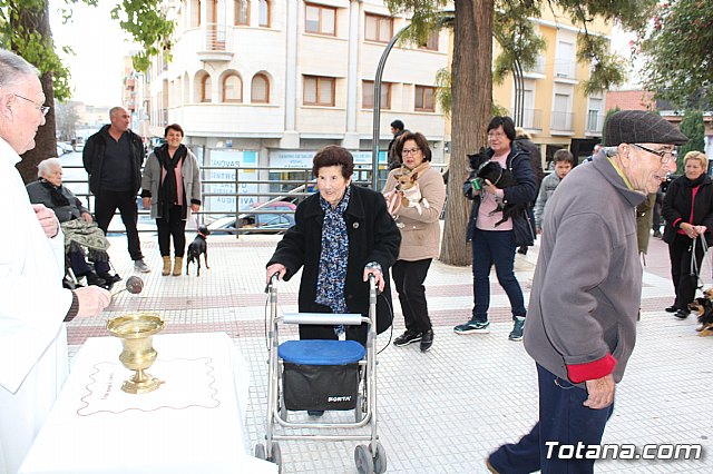 Bendicin de animales San Antn Totana 2020 - 39