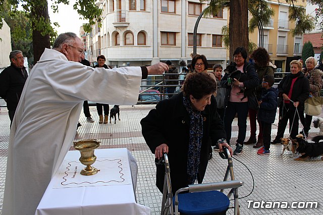 Bendicin de animales San Antn Totana 2020 - 40