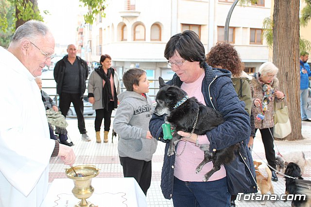 Bendicin de animales San Antn Totana 2020 - 43
