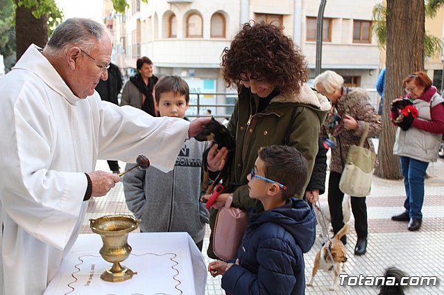 Bendicin de animales San Antn Totana 2020 - 45