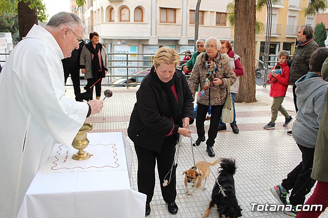 Bendicin de animales San Antn Totana 2020 - 46