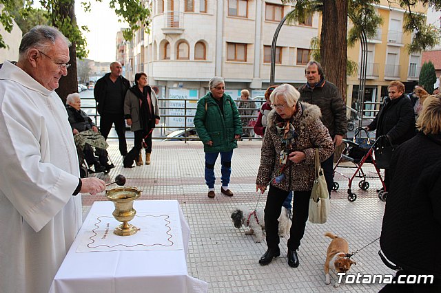 Bendicin de animales San Antn Totana 2020 - 48