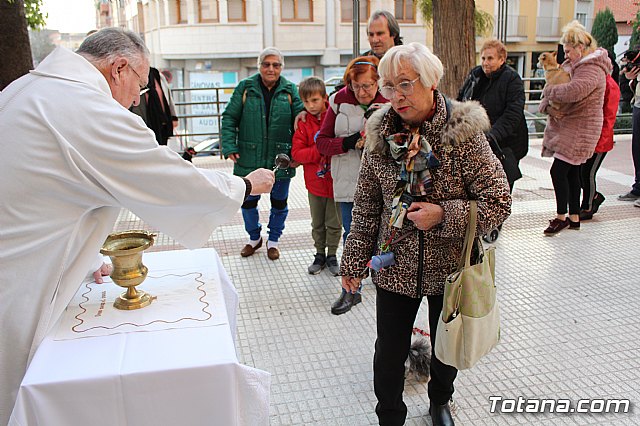 Bendicin de animales San Antn Totana 2020 - 49