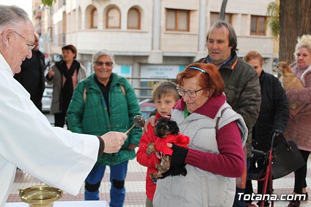 Bendicin de animales San Antn Totana 2020 - 51