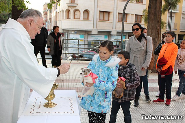 Bendicin de animales San Antn Totana 2020 - 56