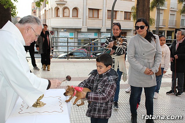 Bendicin de animales San Antn Totana 2020 - 57