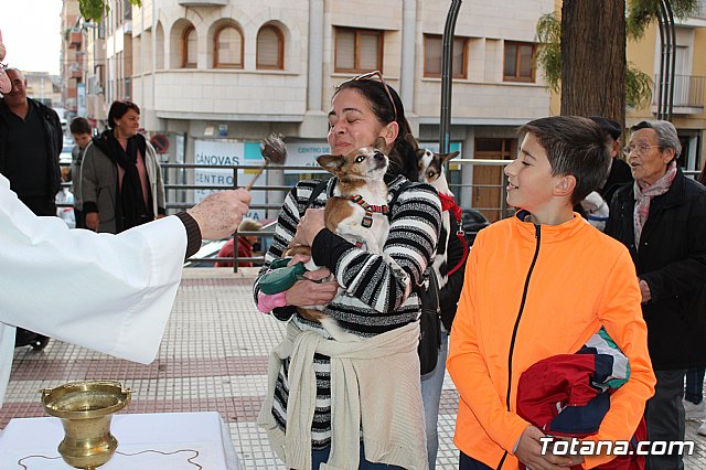 Bendicin de animales San Antn Totana 2020 - 58