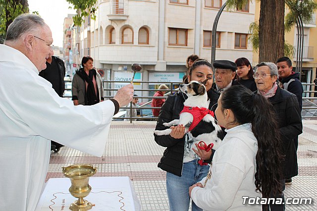 Bendicin de animales San Antn Totana 2020 - 59