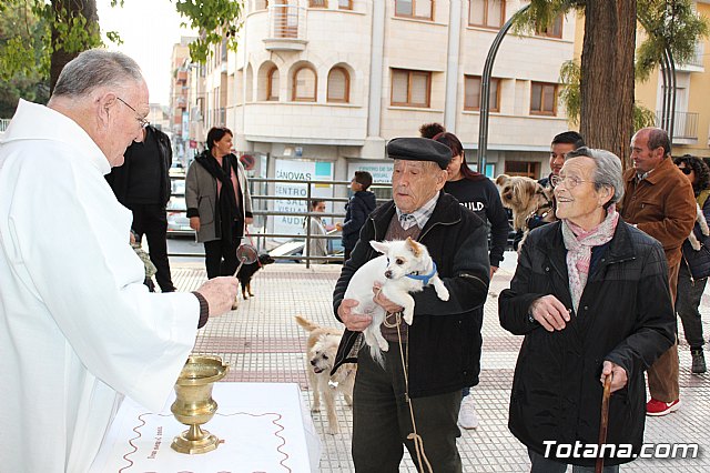 Bendicin de animales San Antn Totana 2020 - 60