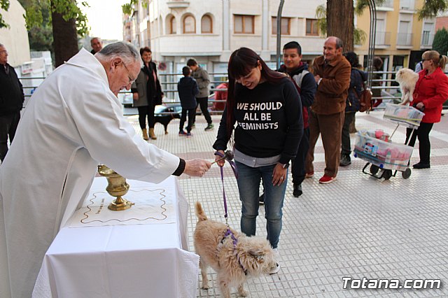 Bendicin de animales San Antn Totana 2020 - 62