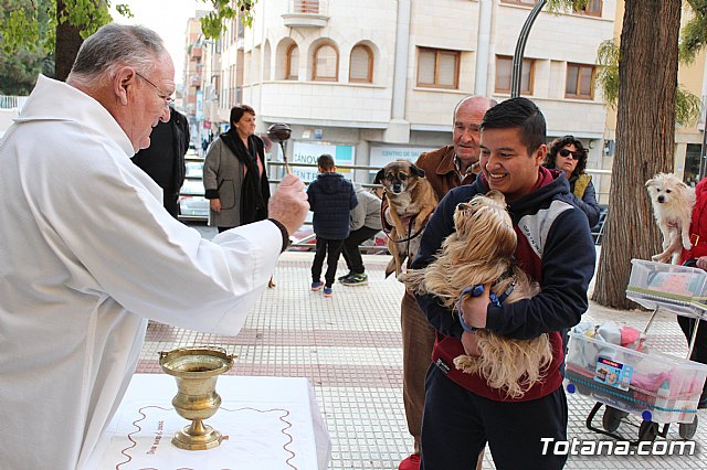 Bendicin de animales San Antn Totana 2020 - 63