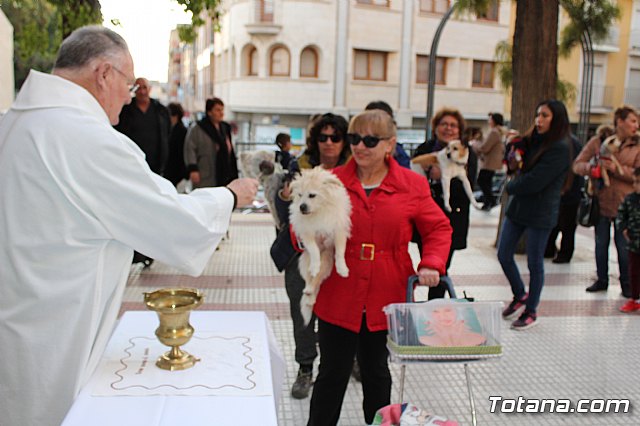 Bendicin de animales San Antn Totana 2020 - 65