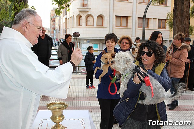 Bendicin de animales San Antn Totana 2020 - 66