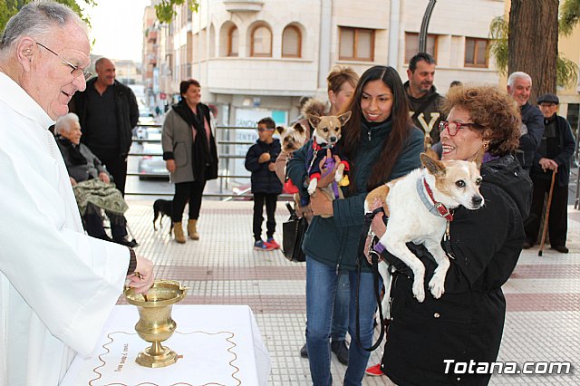 Bendicin de animales San Antn Totana 2020 - 69