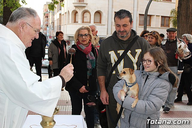 Bendicin de animales San Antn Totana 2020 - 73