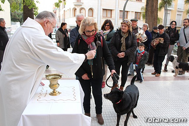 Bendicin de animales San Antn Totana 2020 - 75