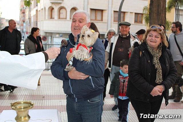 Bendicin de animales San Antn Totana 2020 - 76