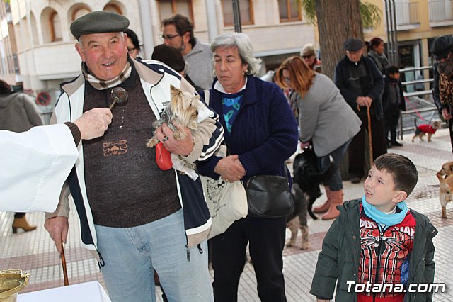 Bendicin de animales San Antn Totana 2020 - 78