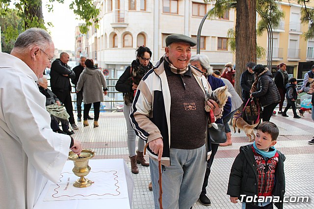 Bendicin de animales San Antn Totana 2020 - 79