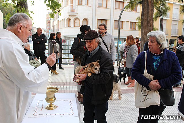 Bendicin de animales San Antn Totana 2020 - 80