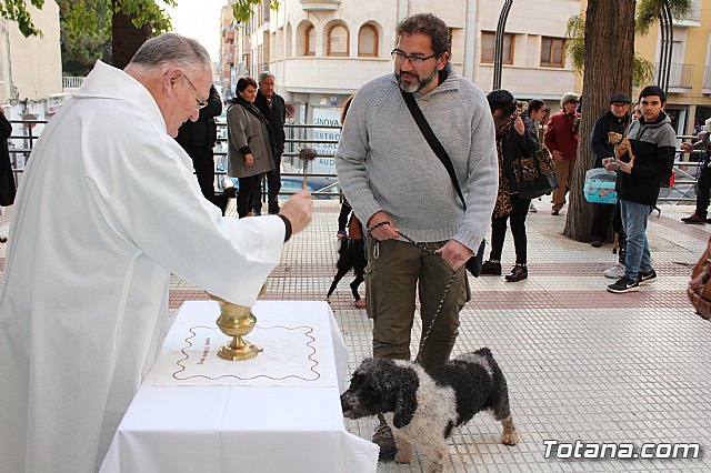 Bendicin de animales San Antn Totana 2020 - 83