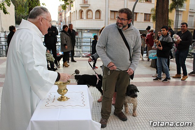 Bendicin de animales San Antn Totana 2020 - 84