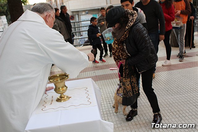 Bendicin de animales San Antn Totana 2020 - 86