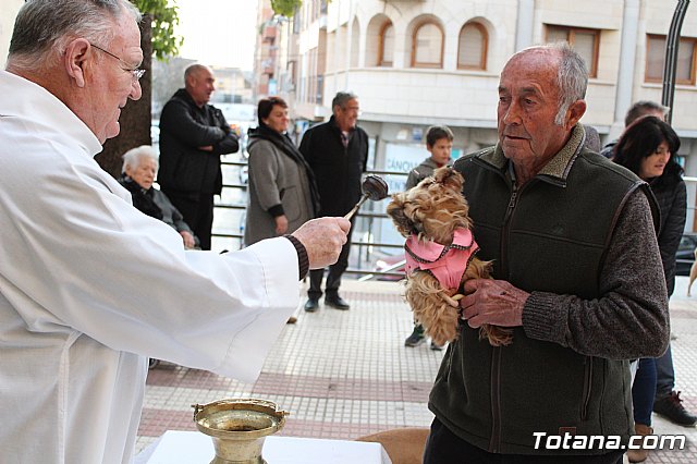 Bendicin de animales San Antn Totana 2020 - 92