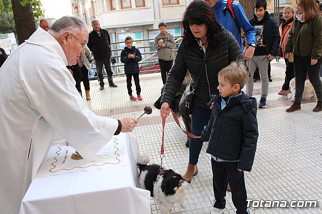 Bendicin de animales San Antn Totana 2020 - 94