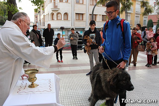 Bendicin de animales San Antn Totana 2020 - 96