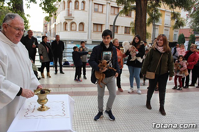 Bendicin de animales San Antn Totana 2020 - 97