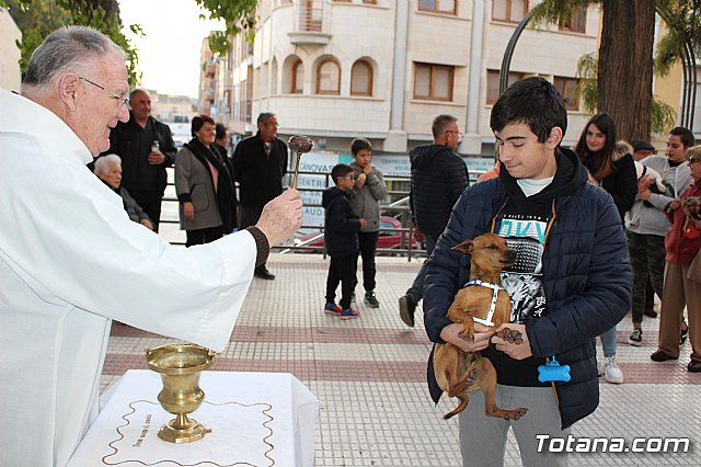 Bendicin de animales San Antn Totana 2020 - 98