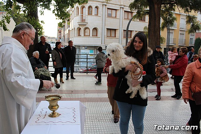 Bendicin de animales San Antn Totana 2020 - 99