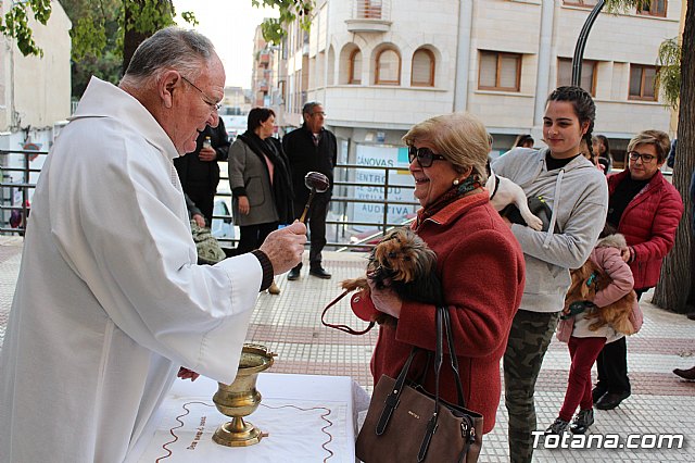 Bendicin de animales San Antn Totana 2020 - 100