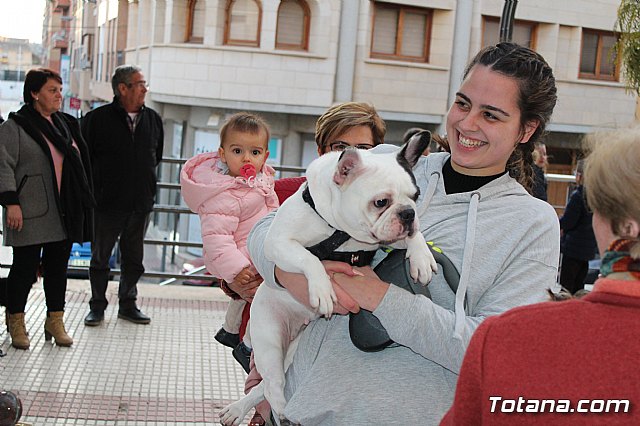 Bendicin de animales San Antn Totana 2020 - 101