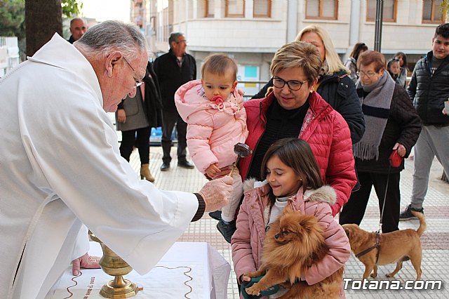 Bendicin de animales San Antn Totana 2020 - 102