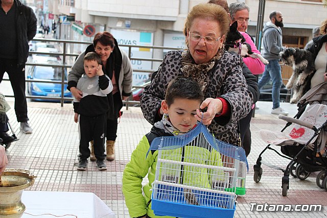 Bendicin de animales San Antn Totana 2020 - 110