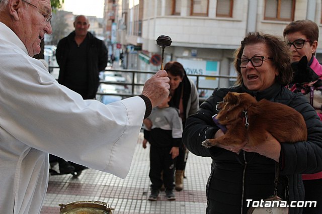 Bendicin de animales San Antn Totana 2020 - 111