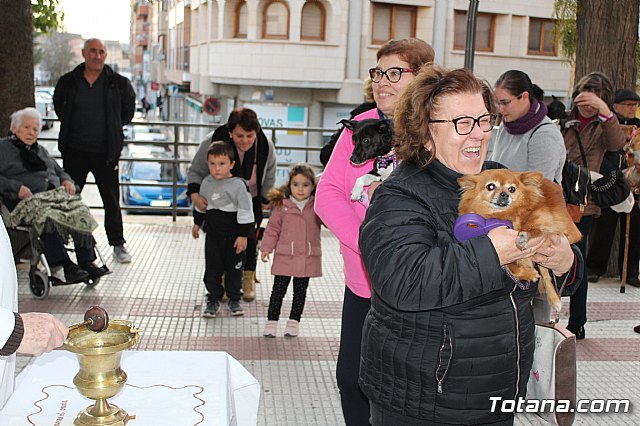 Bendicin de animales San Antn Totana 2020 - 112