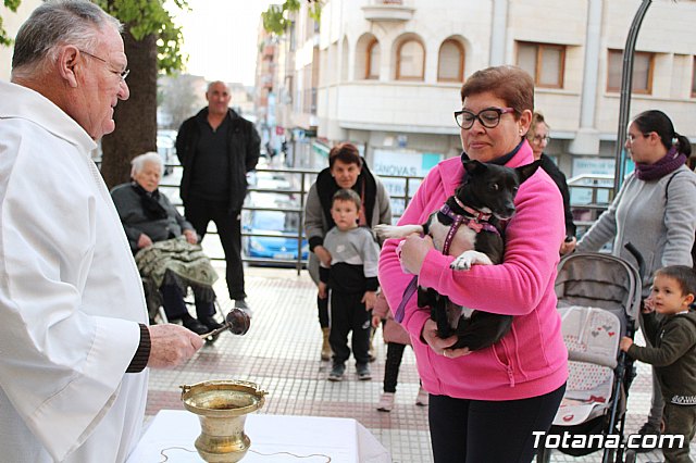 Bendicin de animales San Antn Totana 2020 - 113