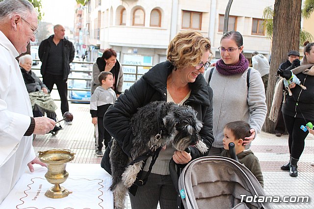 Bendicin de animales San Antn Totana 2020 - 115