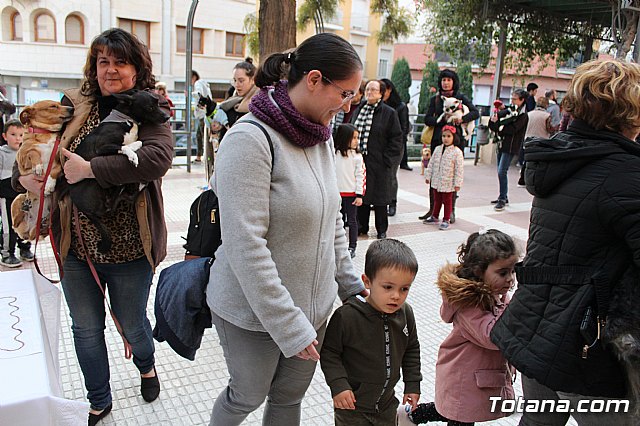 Bendicin de animales San Antn Totana 2020 - 116
