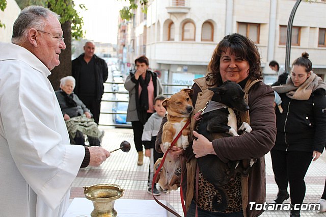 Bendicin de animales San Antn Totana 2020 - 117