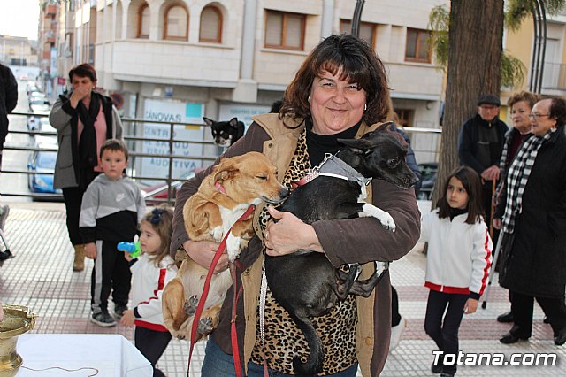 Bendicin de animales San Antn Totana 2020 - 118