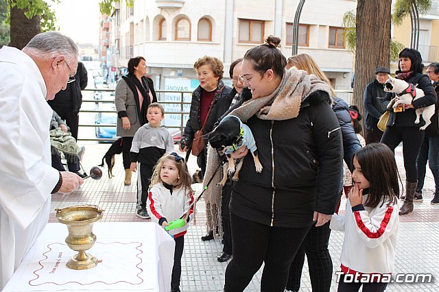 Bendicin de animales San Antn Totana 2020 - 121