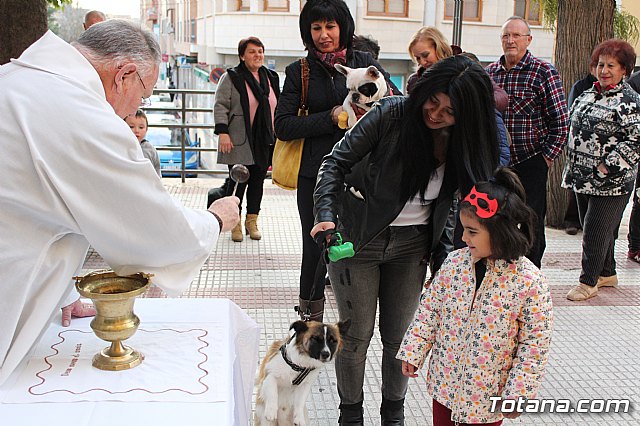 Bendicin de animales San Antn Totana 2020 - 124