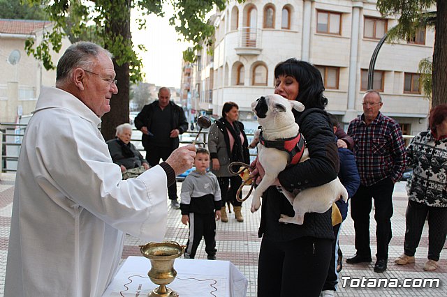 Bendicin de animales San Antn Totana 2020 - 125